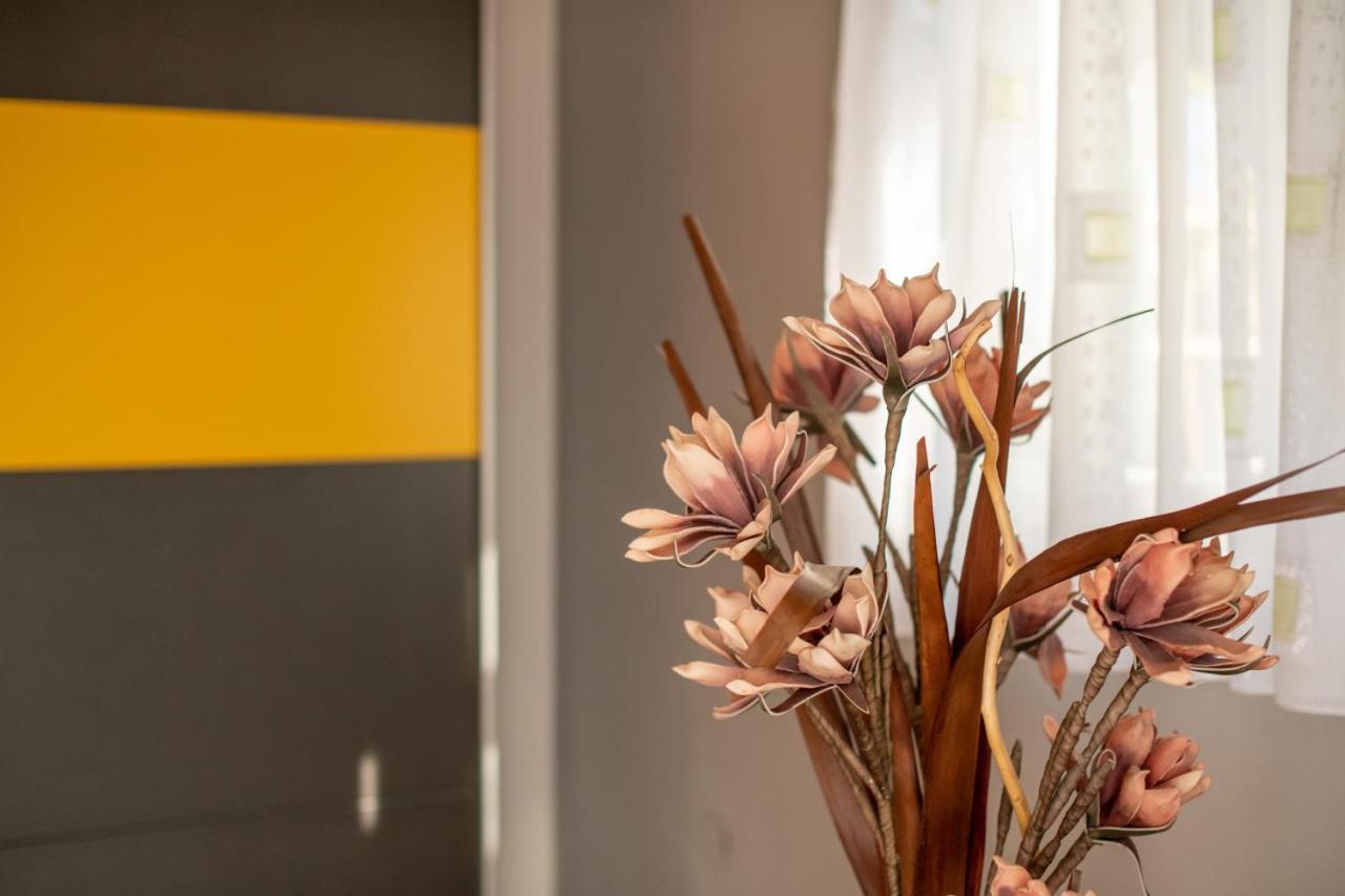 Apartament House Boris Loborika Zewnętrze zdjęcie